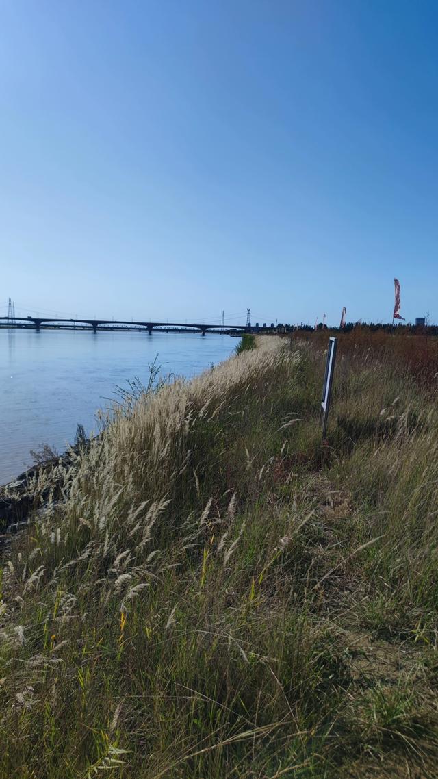 包头天下黄河第一村，靠着黄河边，风景还是不错的