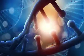 最全图表解析（二）外公外婆X染色体上的高智商基因会遗传几代图片