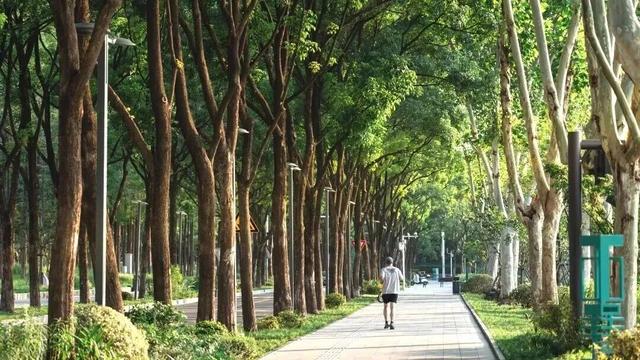 来汉口 逛江汉 | 大学生超友好！不出地铁站如何玩转江汉？
