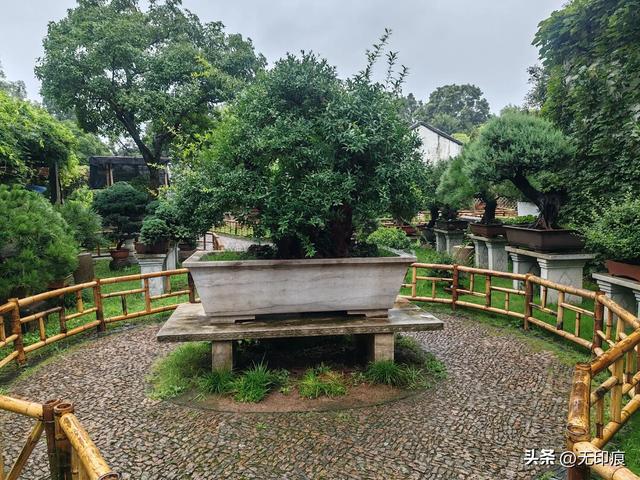 雨中漫步留园