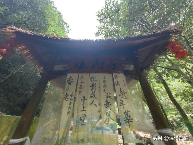 温州这个以畲族始祖命名的4A级景区，秘藏着一座“生物王国”！