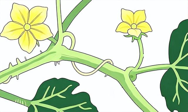 阿里88与哪吒3的故事：乘法表超快巧学大秘诀魔法花园（1）