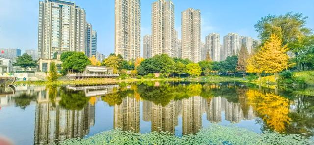 河畅水清景美!郫都母亲河“焕颜”,解锁亲水宜居新体验