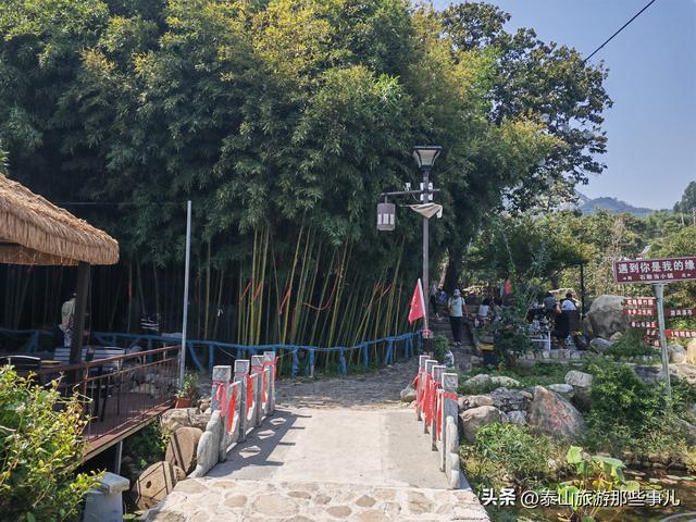 泰安：它是泰山“北大门”，田园风光让人陶醉，有株800年板栗树