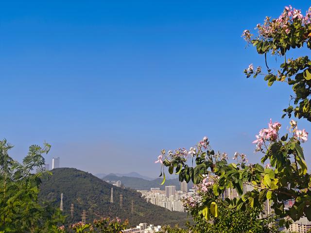 塘朗山郊野公园[绿平二路入口]骑行爬坡好地方