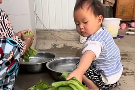 胖嘟嘟太招人喜爱，喜提“嘟总”称谓！羡慕二胖上辈子好事做太多图片