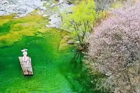 免票、半价！新乡多家景区官宣图片