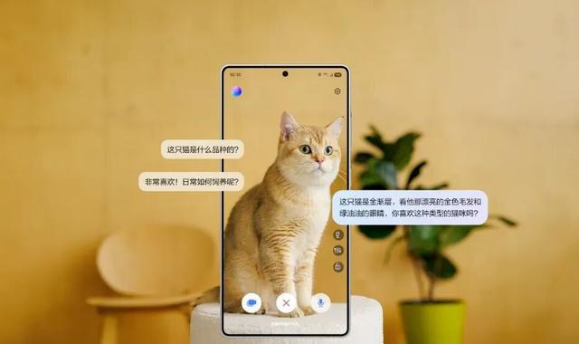 小米站稳全球前三 苹果三星争第一