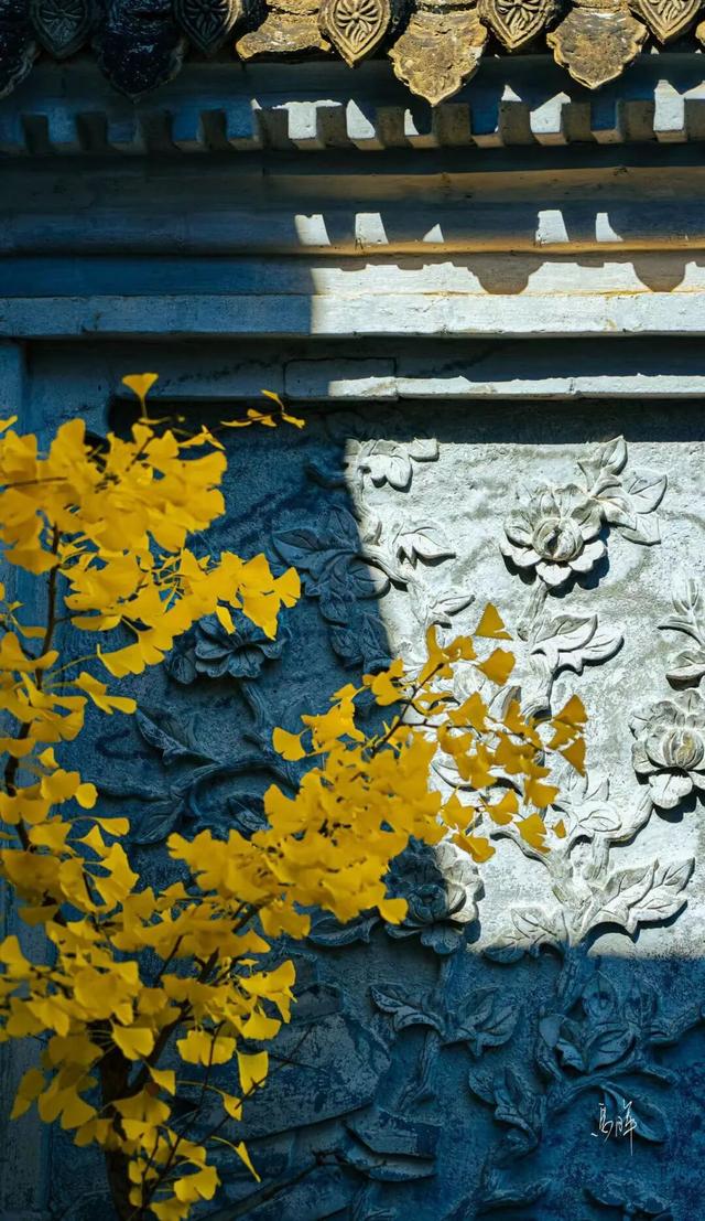 初冬时节，回眸临夏最后一抹绚烂