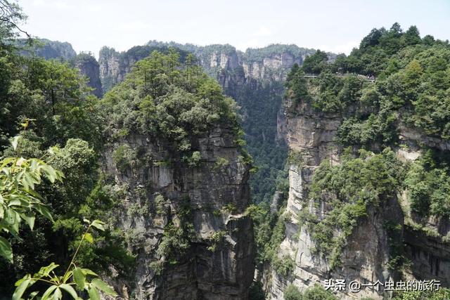 袁家界：地球的‘盗梦空间’！与2亿年的石英砂岩对视，这悬浮山