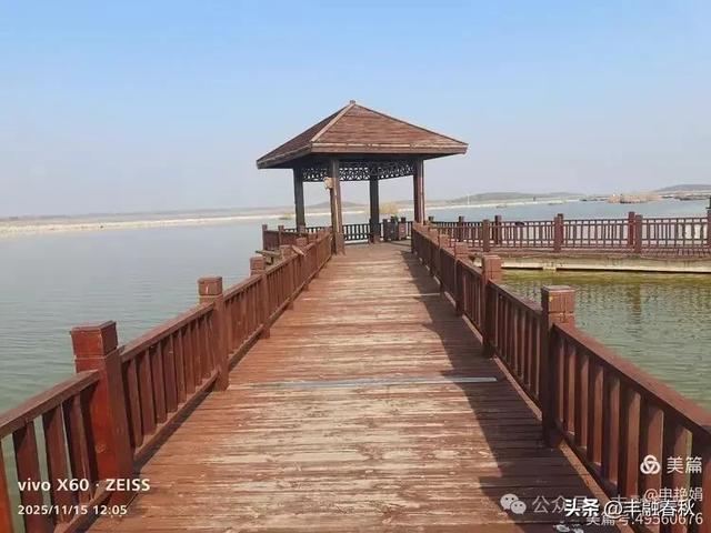 苇风载秋,鹤影映波——河北黄骅南大港湿地的初冬漫游| 申艳娟