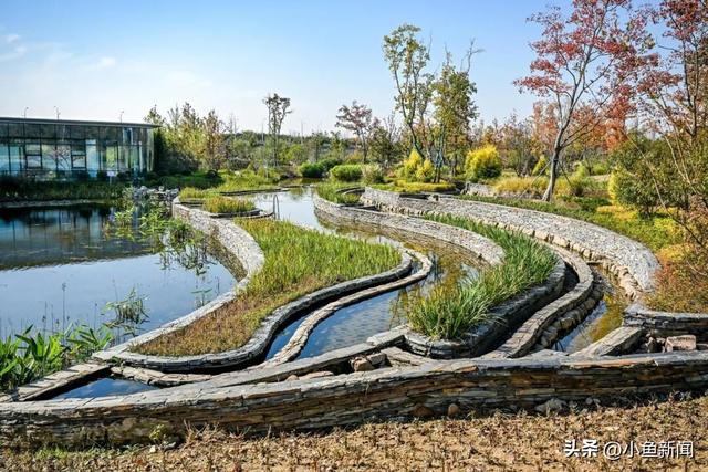 免费开放！苏州人，赶紧安排上！