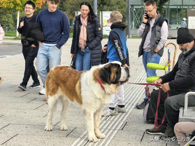 欧洲行第8天：看茜茜公主美泉宫宏伟壮丽 见维也纳内城区热闹非凡