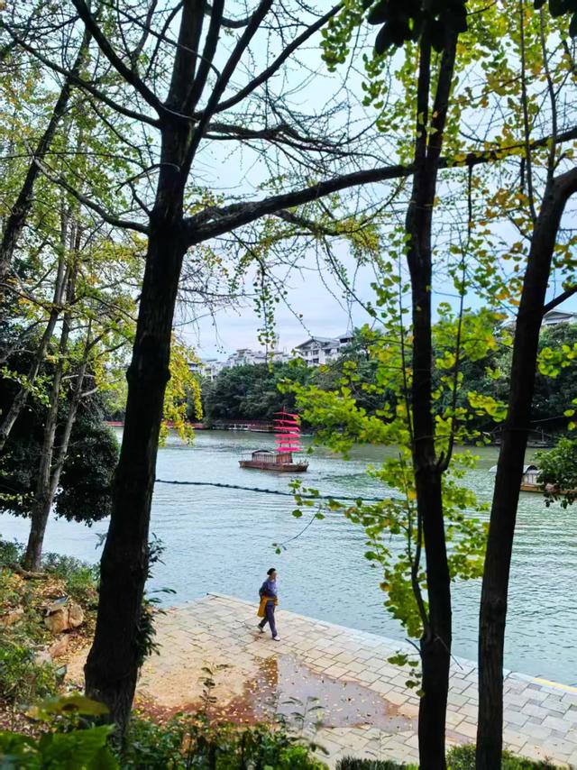 桂林:最是初冬晴午后!