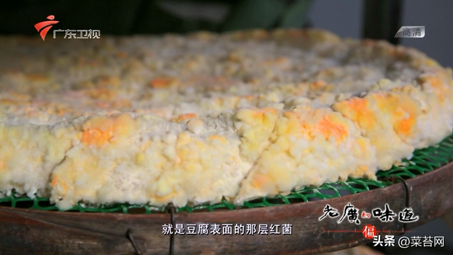 老广的味道 鱼肚花胶是哪期 老广的味道第五季鱼露