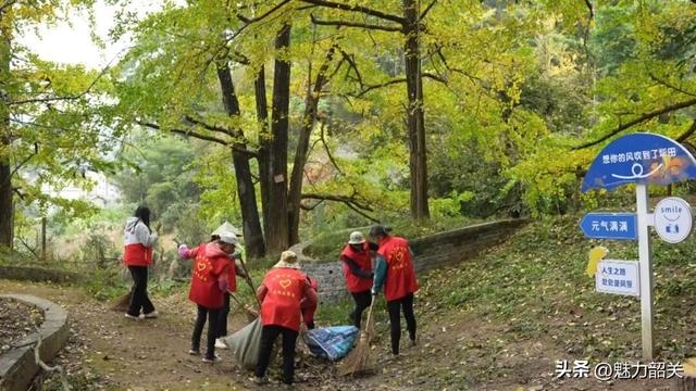 韶关南雄：保障升级引客来！坪田银杏绘就富民新图景