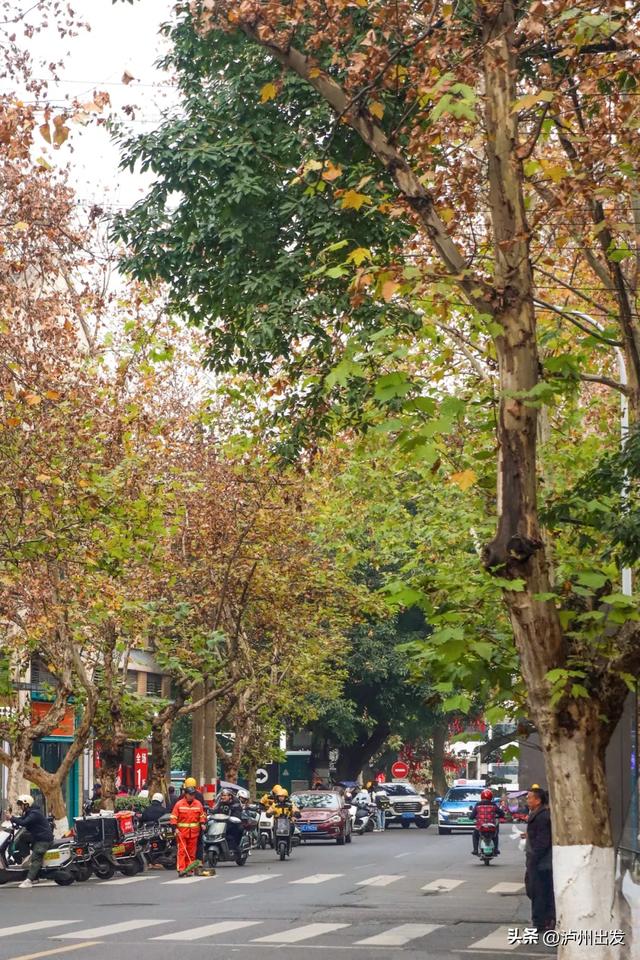 在泸州，我真的很羡慕住在老城区的人！