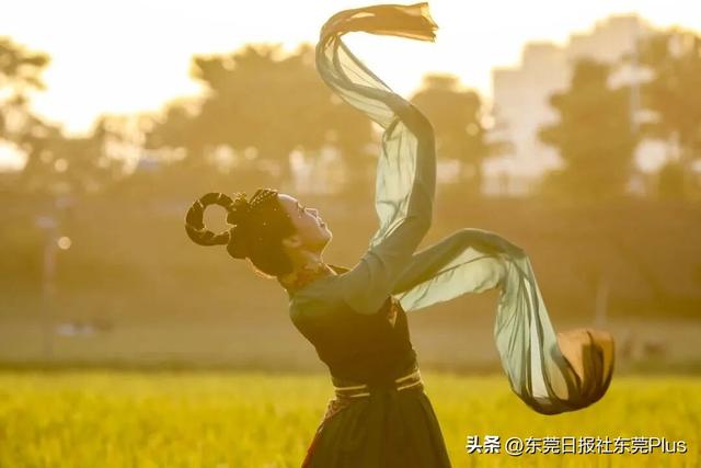 上班暂停，来东莞看稻田吧！