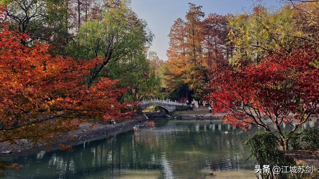 霜影下的城市绯霞