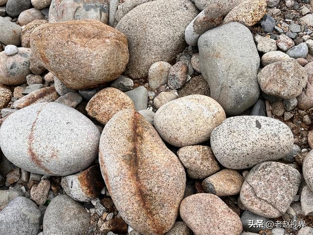 海南文昌竟藏着这样一个宝藏公园，随便一拍就是大片！