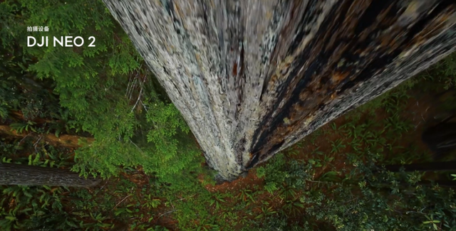 最懂生活的年轻人，爱上了大疆的「赛博飞宠」