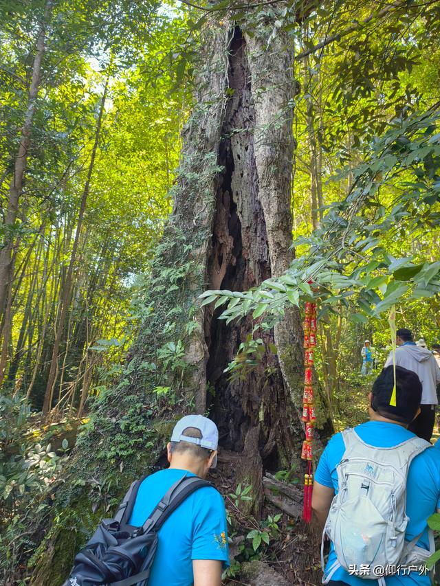 穿越万绿湖大型徒步