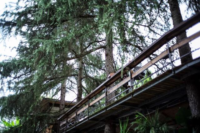 这个“名牌加身”的西南山城，正适合淡季来玩！