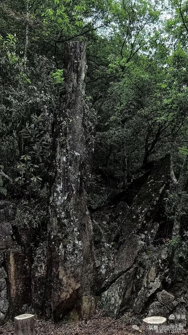 真正的小众避暑胜地!这方秘藏于千米高山之上的清凉秘境等你来!