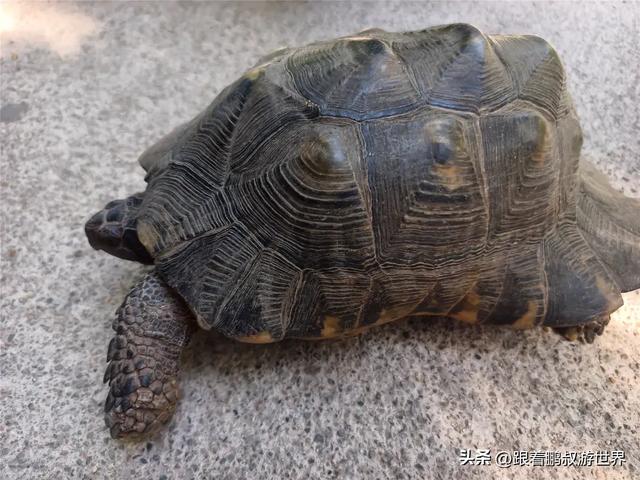 雅典怎么玩儿？去这10个地方触摸 2500 年的古典与浪漫：雅典一日游