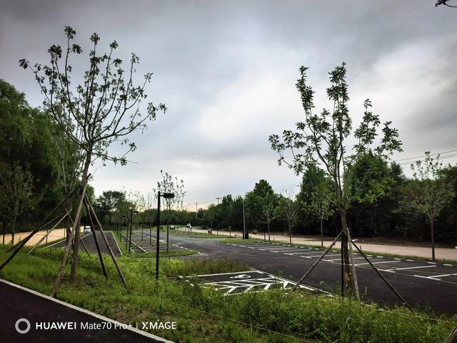 8月14日的北京晨跑