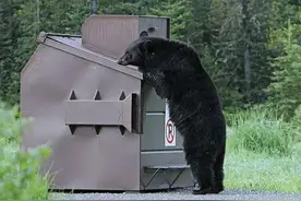 恐怖谷效应！不要小看那些看似温顺的动物，它们远比你想象的可怕图片