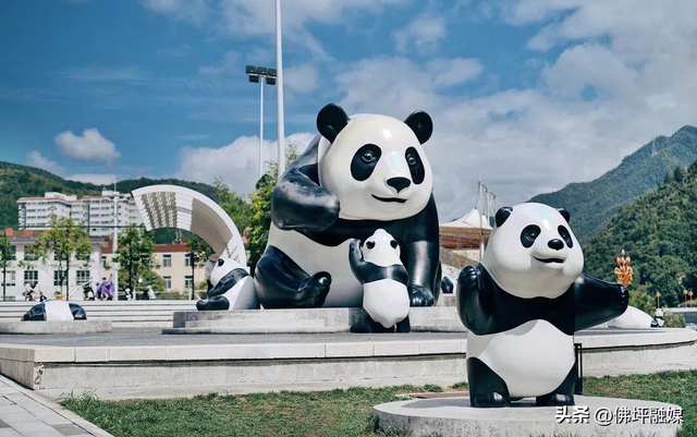 🥕解锁“疯狂动物城”佛坪分城🦊