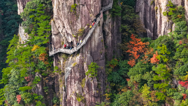 紧急播报：黄山秋色已达峰值，100%颜值在线，速来！| 皖美冬日 | 第十五届安徽国际文化旅游节