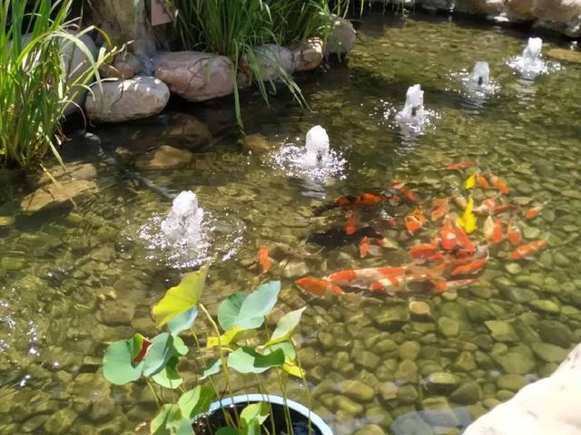 北京重庆饭店不仅有“渝味360碗”，还有360度的美