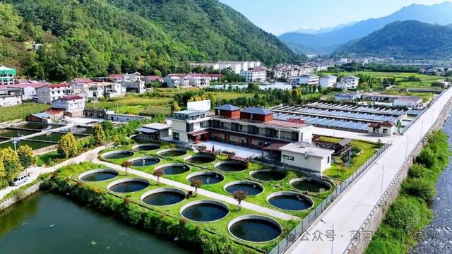 2025汉中秦岭熊猫音乐嗨唱季 | 佛坪稻田音乐季即将开演！内附旅游攻略，快码住→