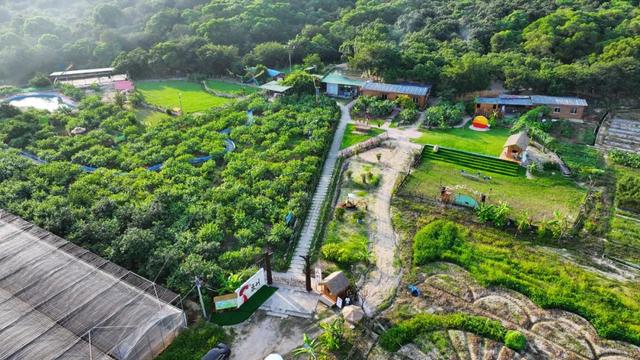 农旅融合！南安这个休闲营地正式对外开放