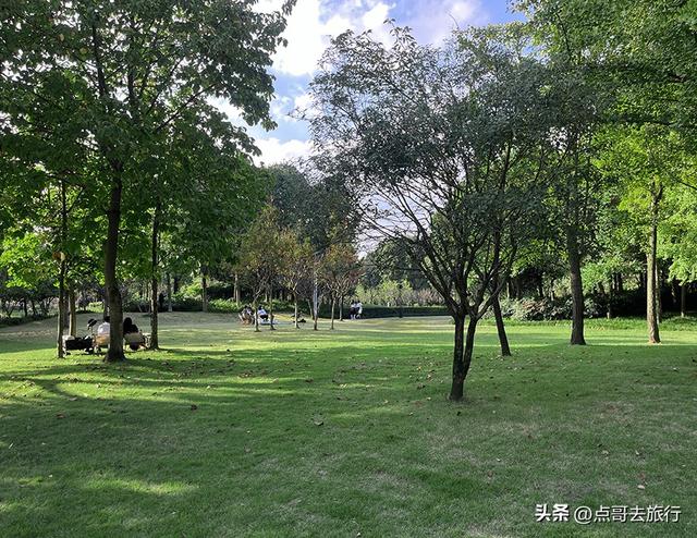 成都最美拍照公园，城市中的草原牧场，不要门票，地铁公交直达！
