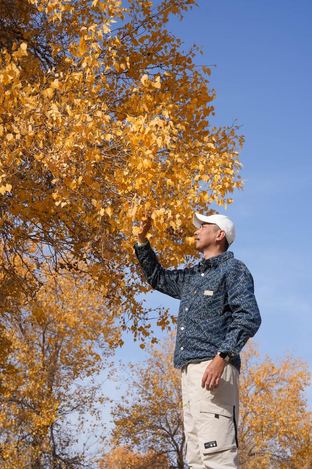 沙雅沙雁洲｜胡杨作画、河水为诗，这里藏着南疆秋天最热烈的模样