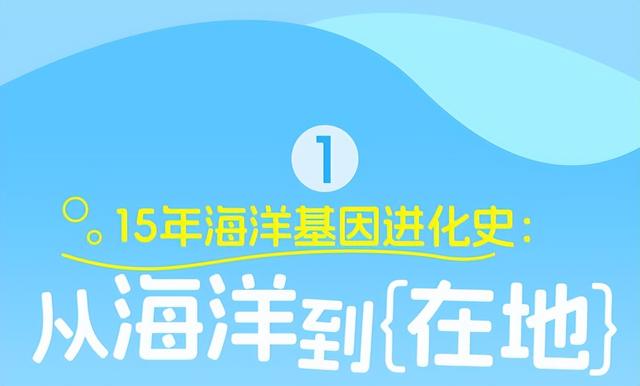 会耍｜从海洋到陆地，别错过这场精彩的“极地探险”！