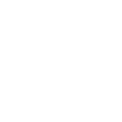 天目山秘境觉醒！用镜头解锁“大树王国”的N种打开方式