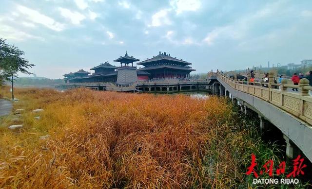 大同云冈石窟秋景如画