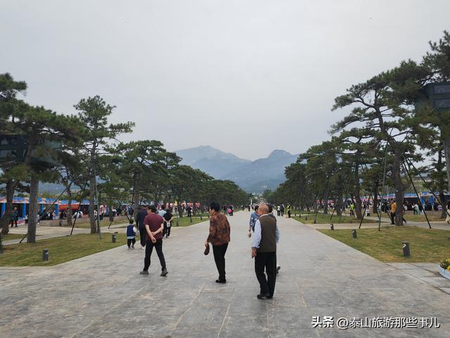 泰安：这个景点拆除了两排石灯笼，树少了，道新了，从压抑到敞亮