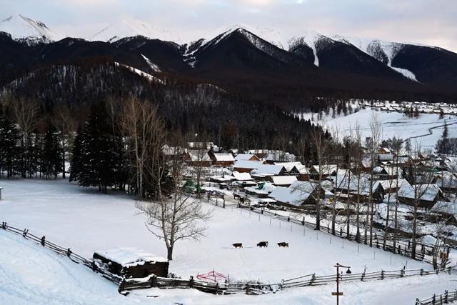 千万别在冬天去新疆!因为去了就回不来了……