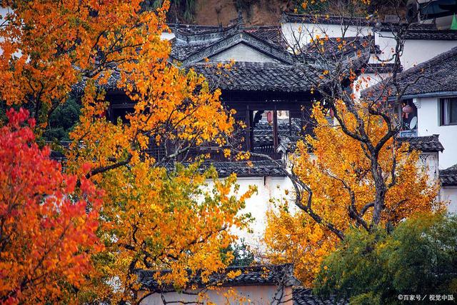 说起红叶就知道栖霞山和天平山？江南赏秋花样不要太多