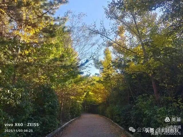 青岛即墨马山寻趣:一座地质公园的秋日私语|申艳娟