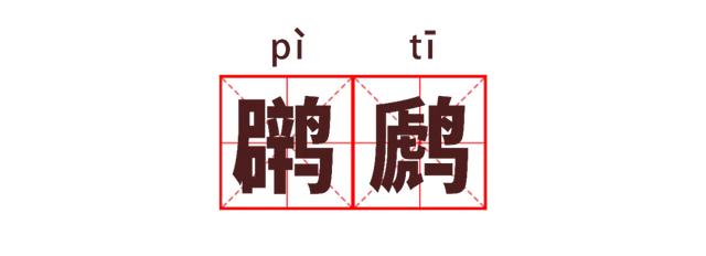 湖北公安 |【万里长江湖北行】鹳䴙䴘鸻鹈鹕鳽鹬鹛鹀䴓鹎，到底怎么读？