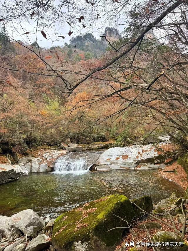 光雾山秋色斑斓,迎来23届光雾山国际红叶节