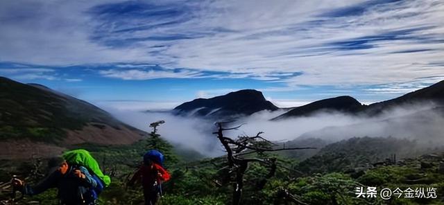 数十条生命警示，禁令成摆设，你任性探险的代价，为何让全民买单