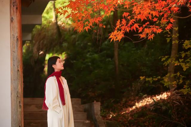 可惜你不听《枫》,不知道醴陵这片枫林到底有多美!