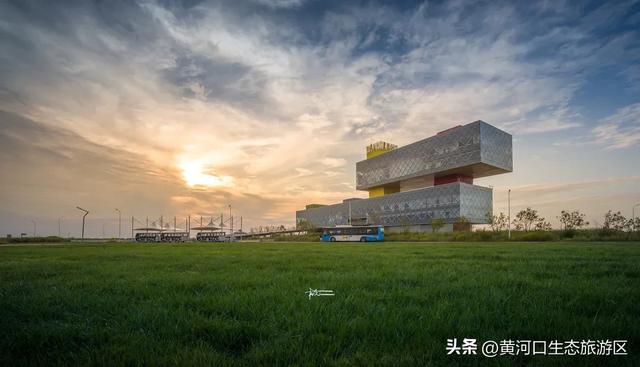 【黄河口生态旅游区】秋日限定美景上线！